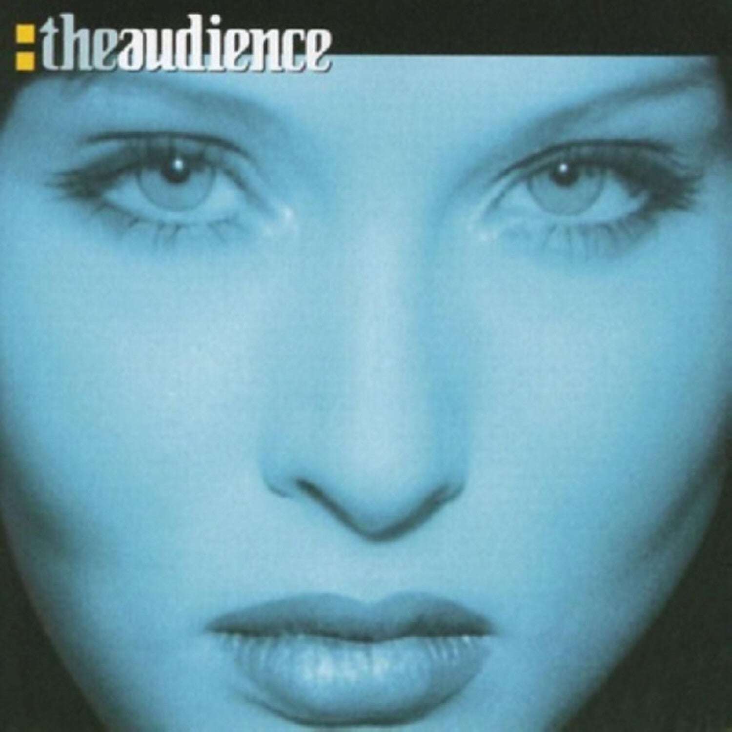 Theaudience 2xLP