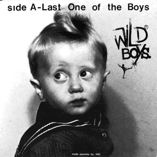 Wild Ones - Wild Boys - Last One of the Boys / We're Only