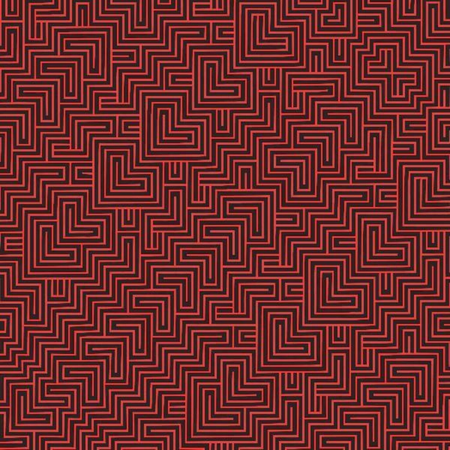 Black Angels - Wilderness Of Mirrors (CD)
