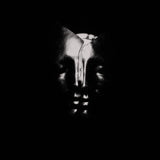 Bullet For My Valentine (Deluxe) (CD)