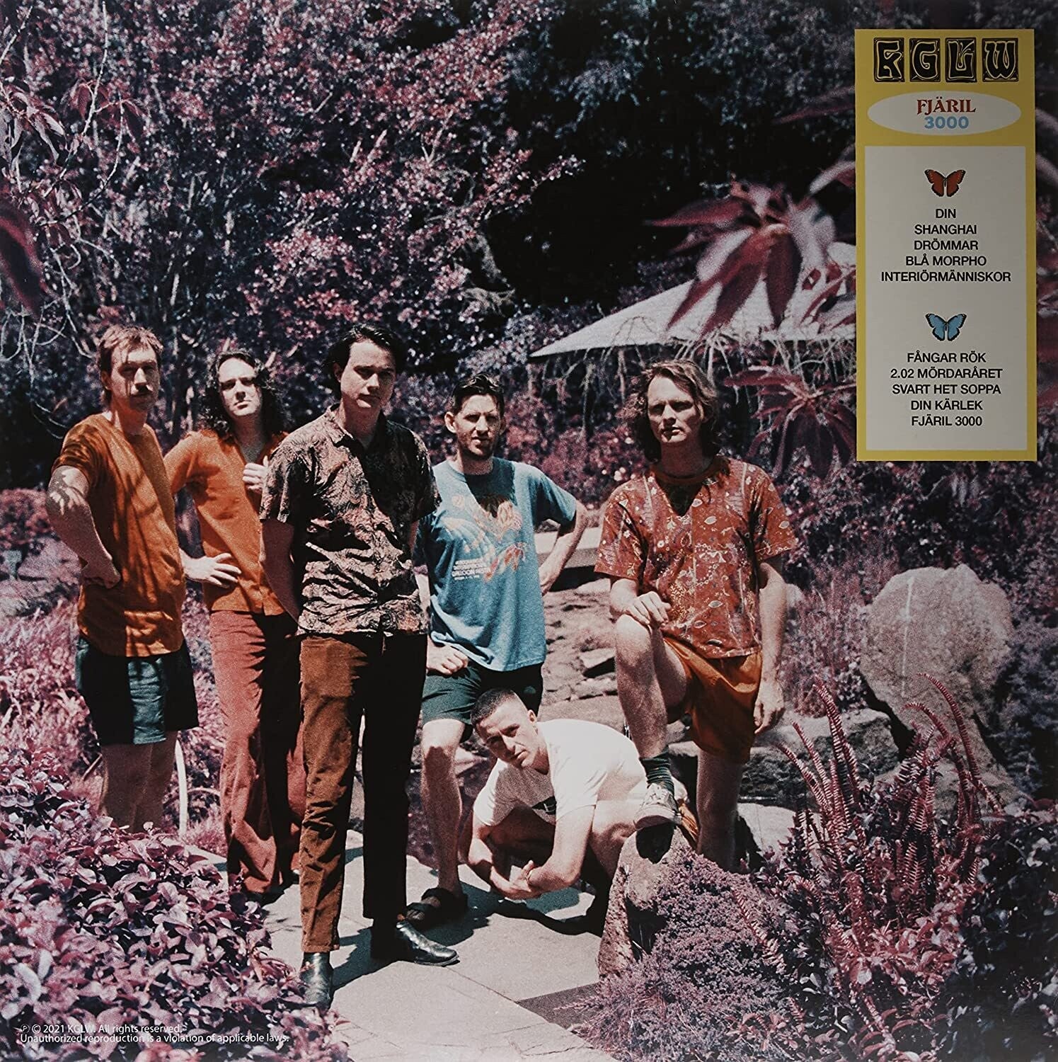 King Gizzard & the Lizard Wizard - Butterfly 3000 [Swedish] (Limited Edition)