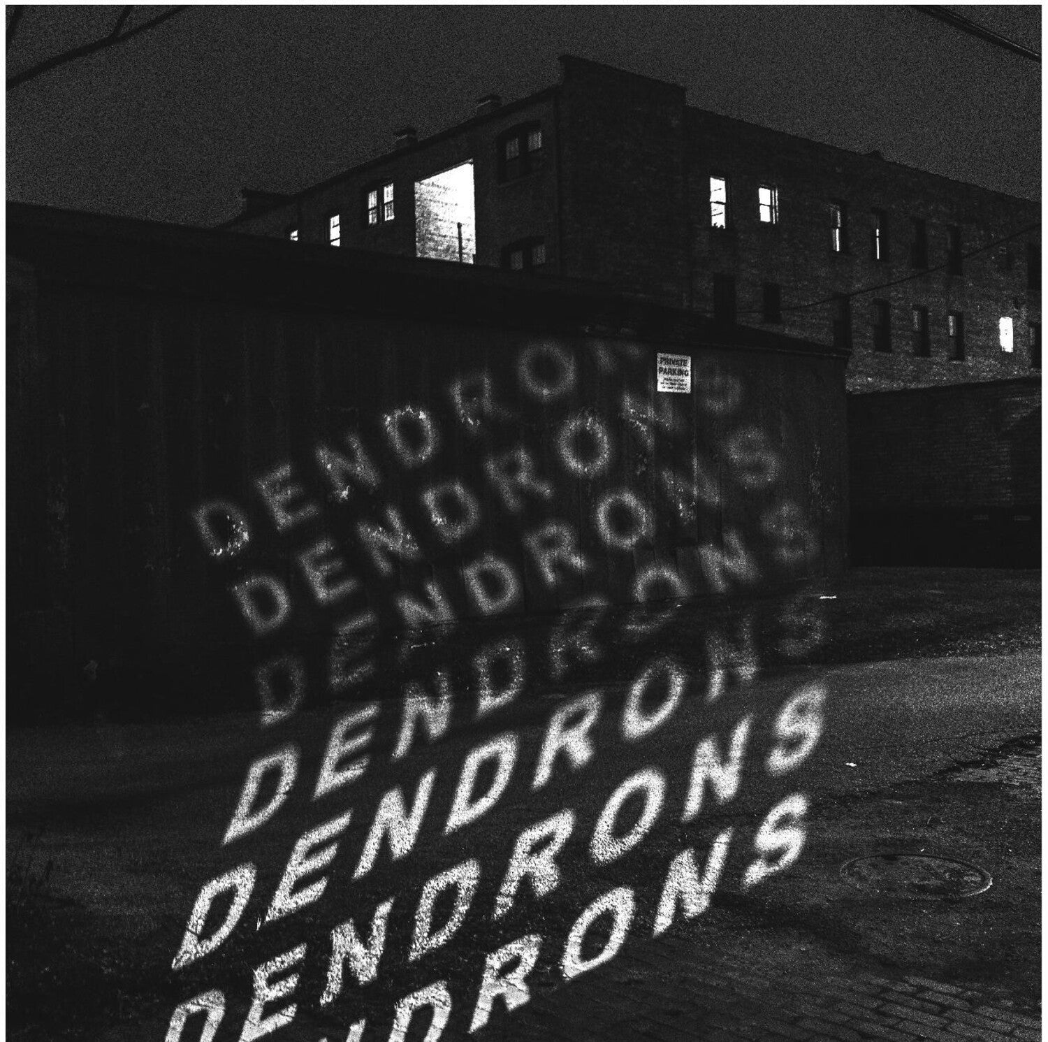 Dendrons (Clear Vinyl)