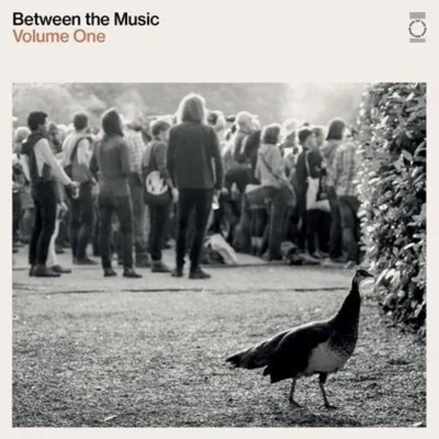 End Of The Road Presents: Between The Music / Various 2xLP (White Vinyl)