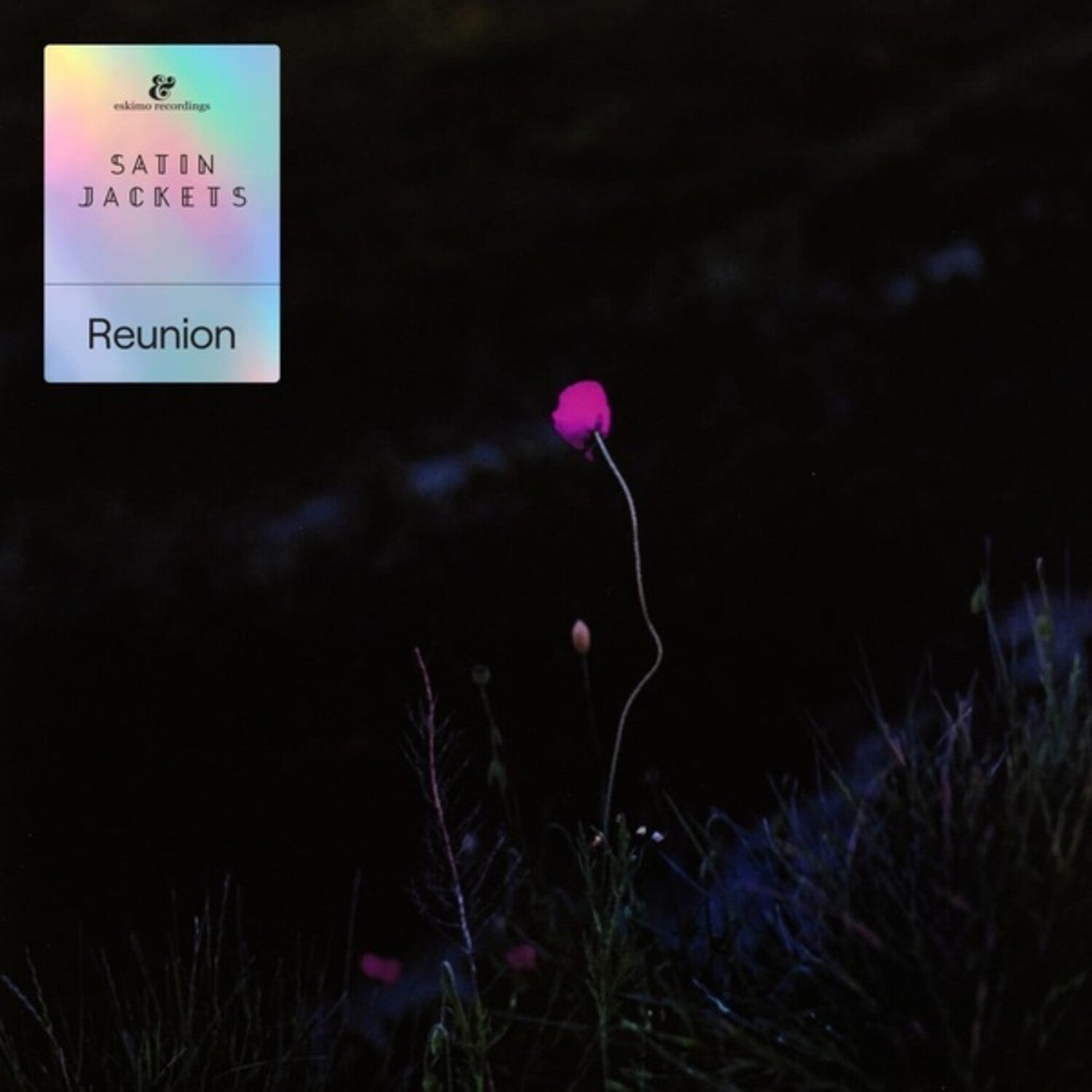Satin Jackets - Reunion 2xLP