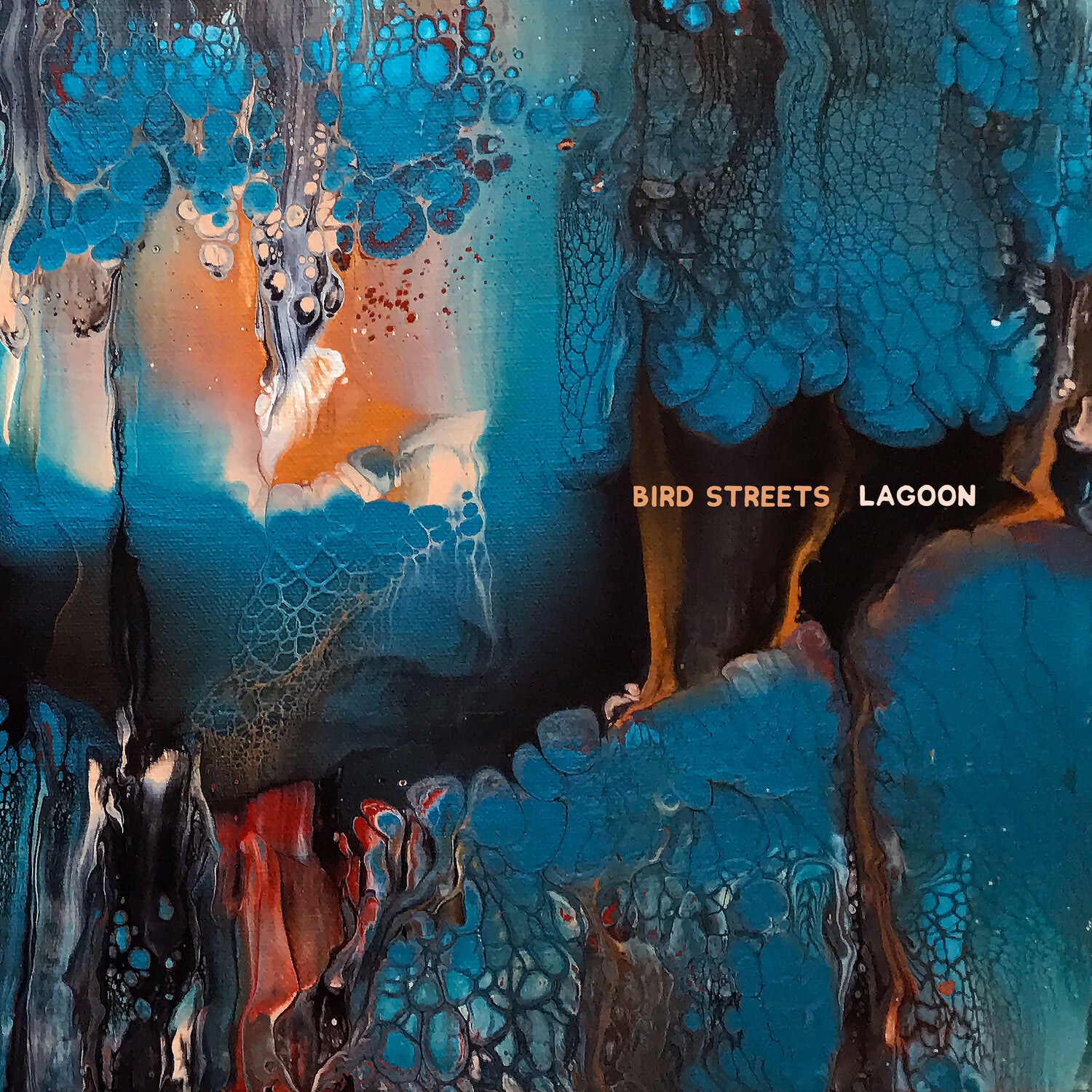 Bird Streets - Lagoon 2xLP