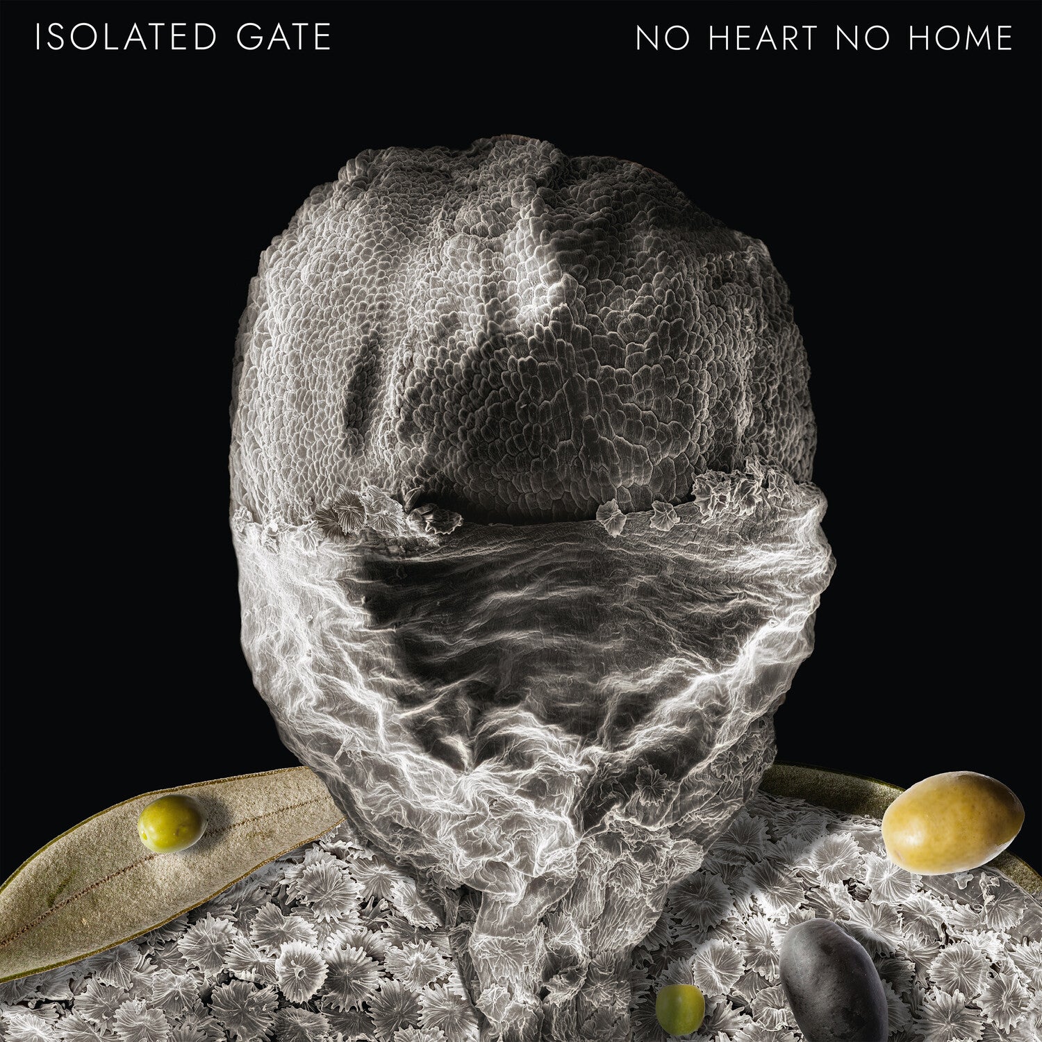 Isolated Gate - No Heart No Home (Limited Edition)