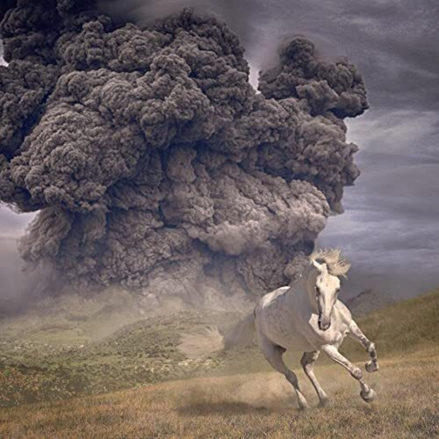 White Buffalo - Year Of The Dark Horse (Clear Vinyl)
