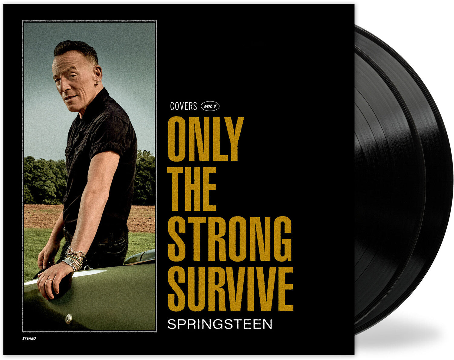Bruce Springsteen - Only The Strong Survive 2xLP