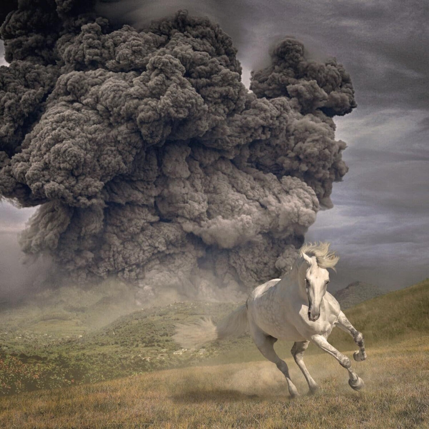 White Buffalo - Year Of The Dark Horse (CD)