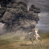 White Buffalo - Year Of The Dark Horse (CD)