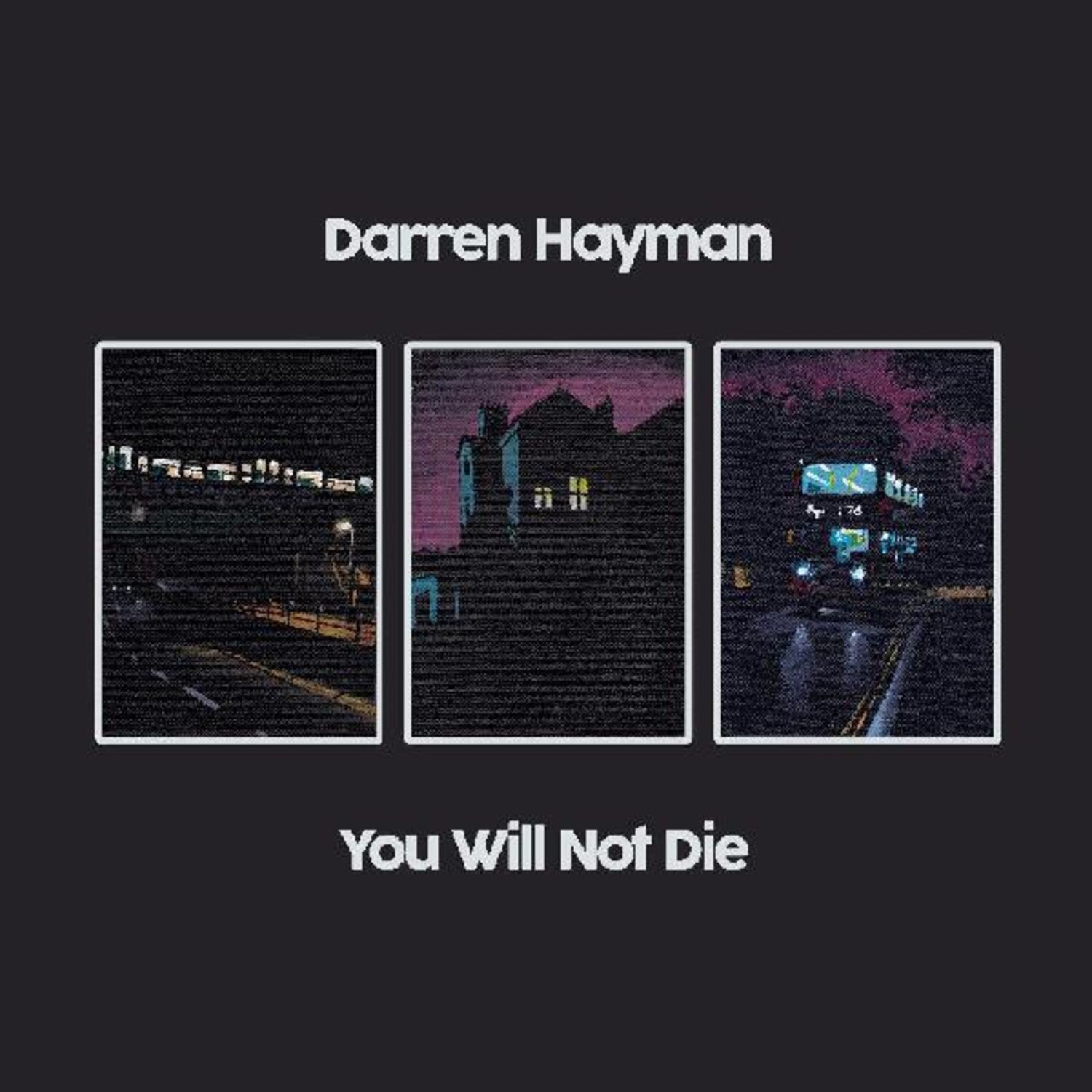 Darren Hayman - You Will Not Die 2xLP