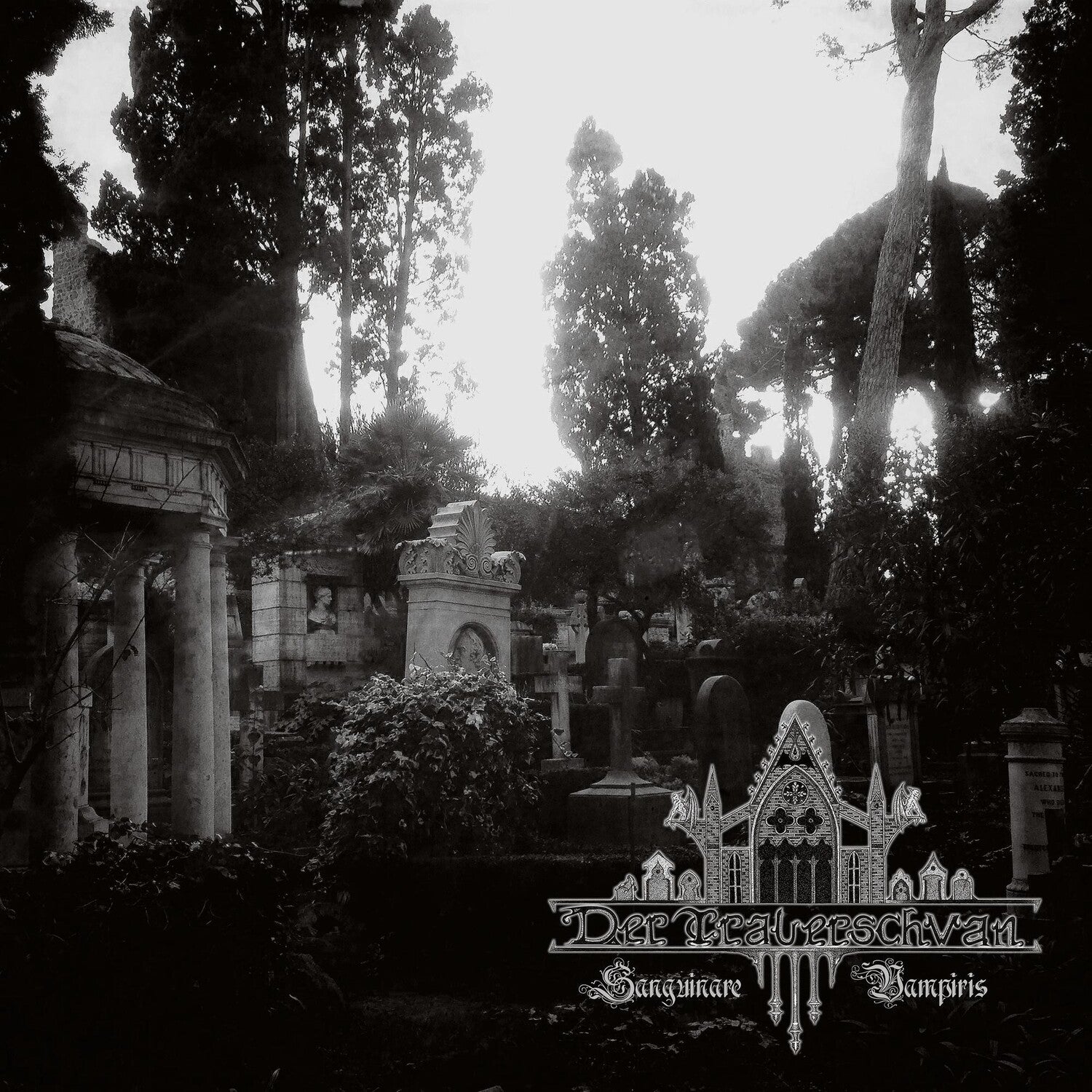 Der Trauerschwan - Sanguinare Vampiris (Limited Edition)