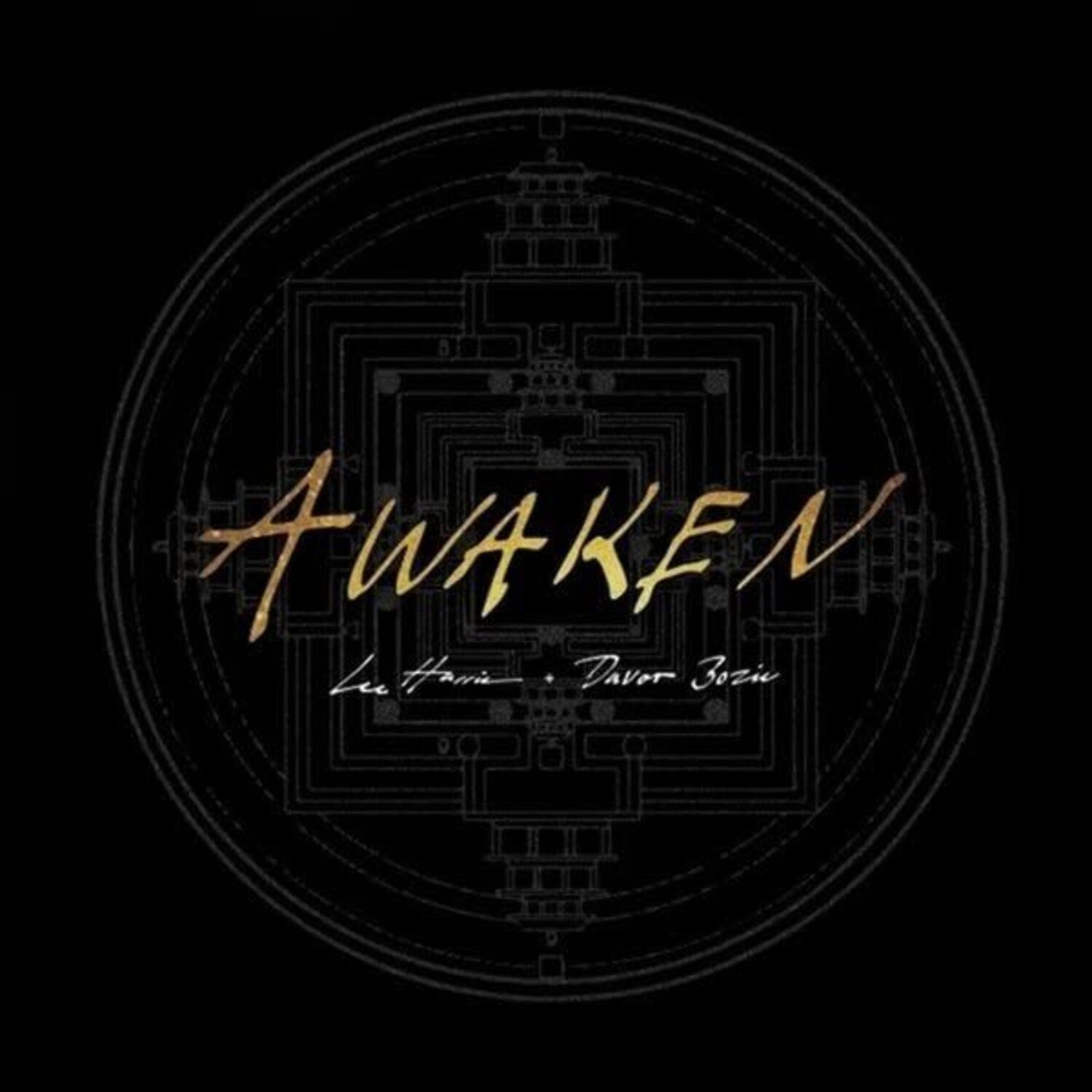 Lee Harris / Davor Bozic - Awaken (Gold Vinyl)