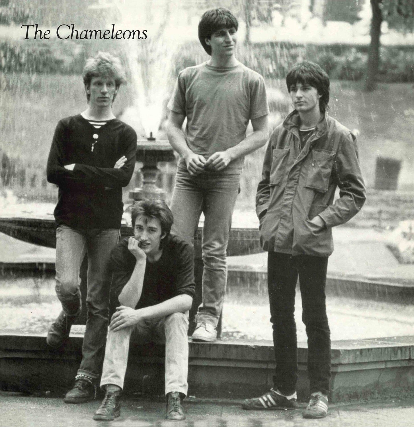Chameleons - Tony Fletcher