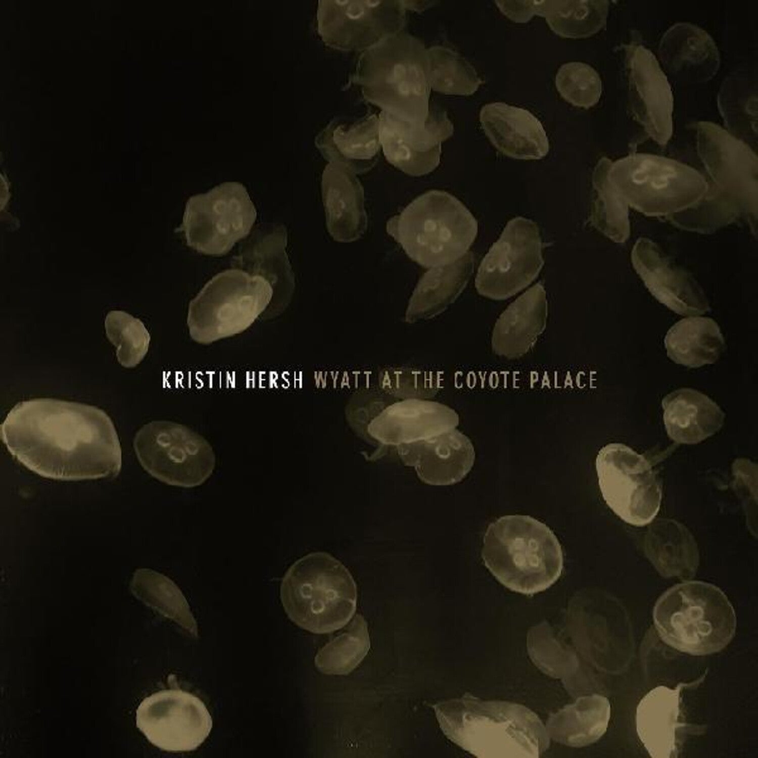 Kristin Hersh - Wyatt At The Coyote Palace 2xLP