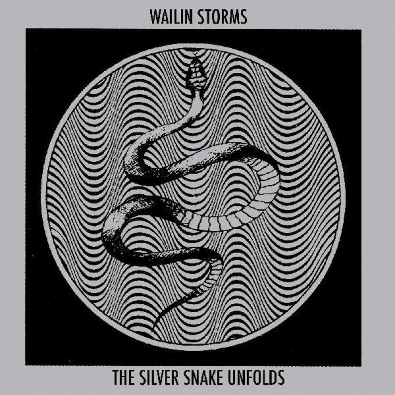 Wailin Storms - The Silver Snake Unfolds (CD)