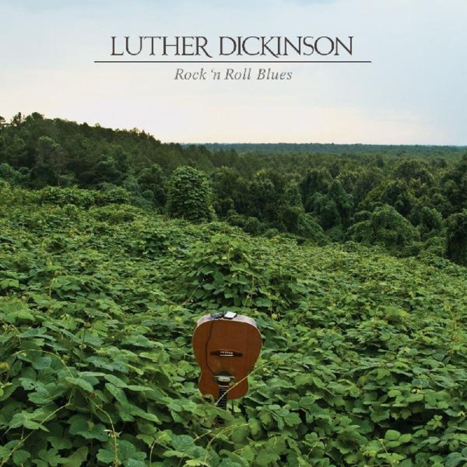 Luther Dickinson - Rock 'n Roll Blues (Clear Vinyl)