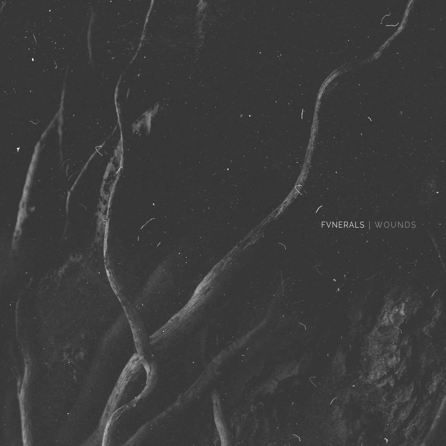 Fvnerals - Wounds (CD)