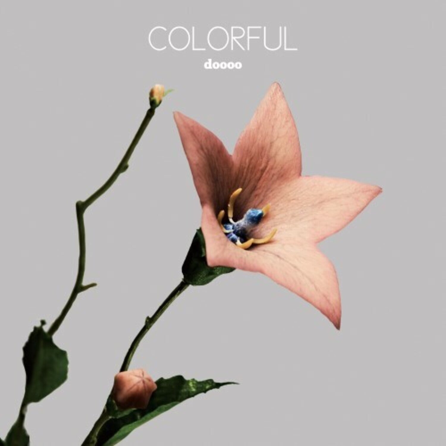 Doooo - Colorful (Limited Edition)