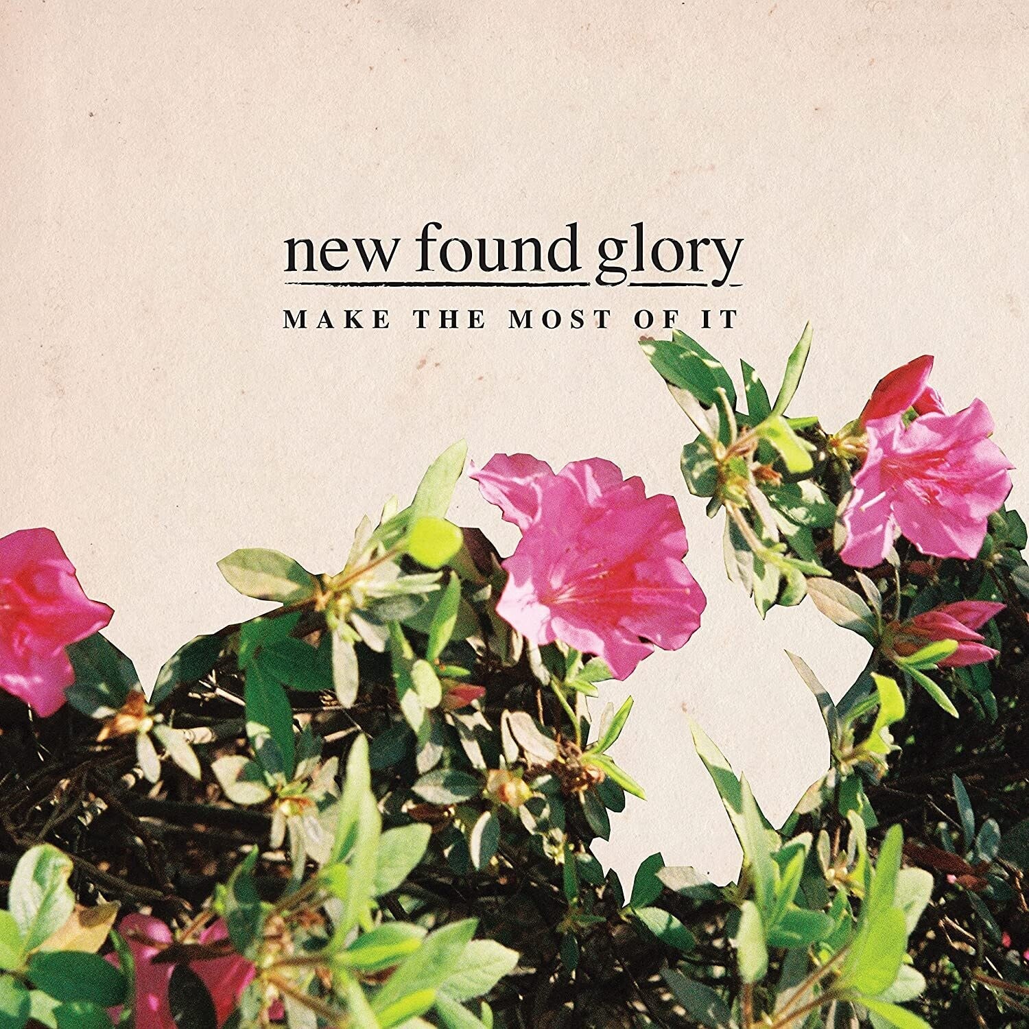 New Found Glory - Make The Most Of It (Limited Edition)