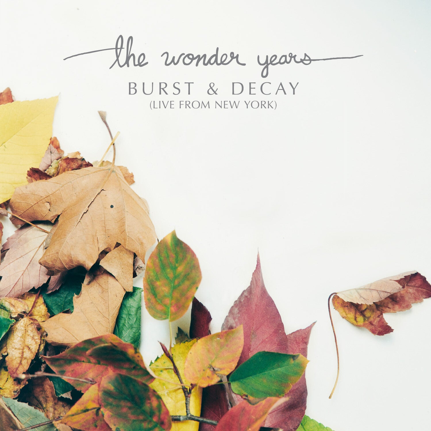 Wonder Years - Burst & Decay: Live From New York (White Vinyl)