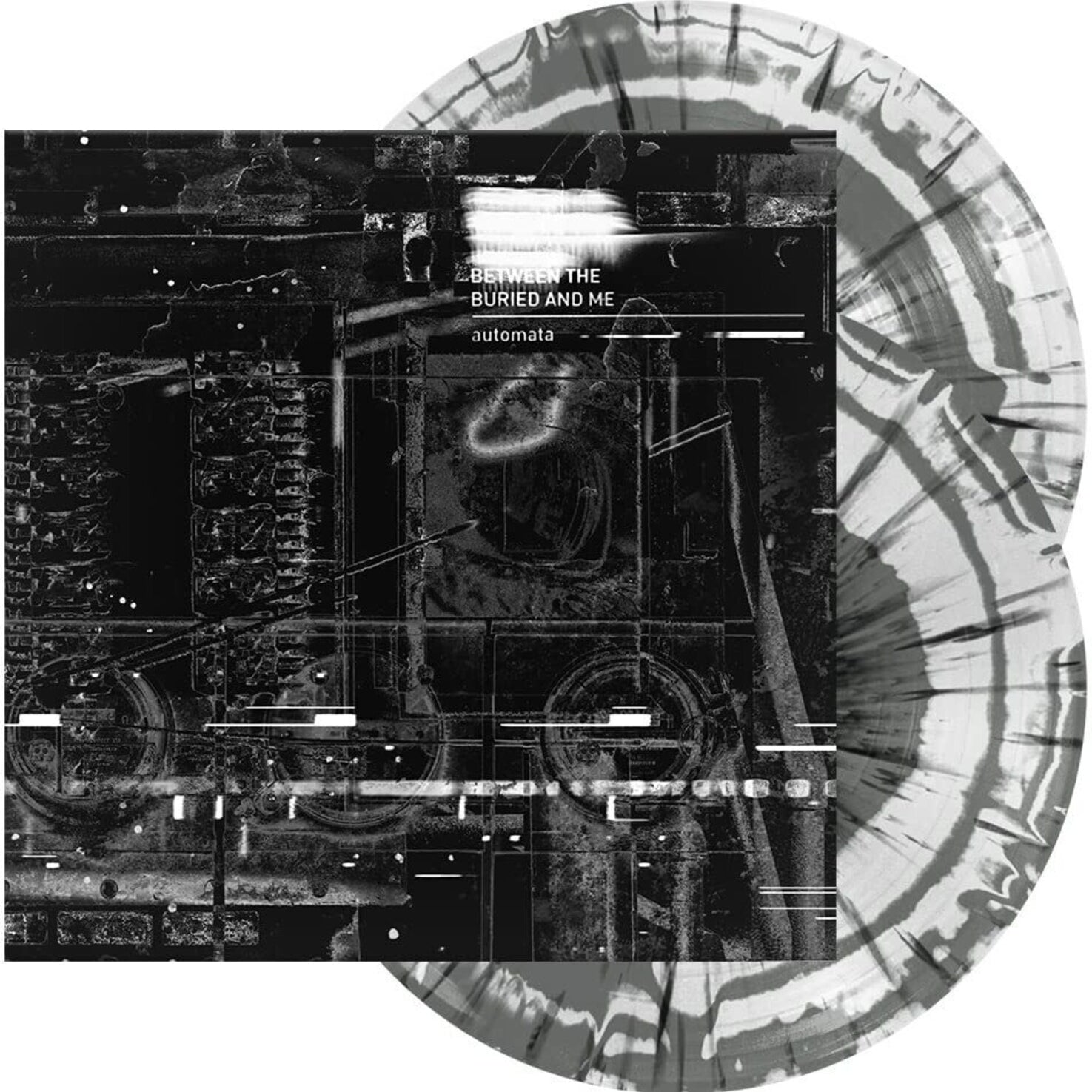 4166248-2925885.jpg