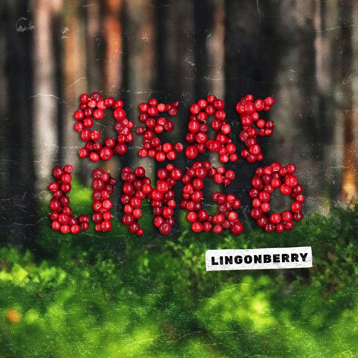 Deaf Lingo - Lingonberry (Clear Vinyl)