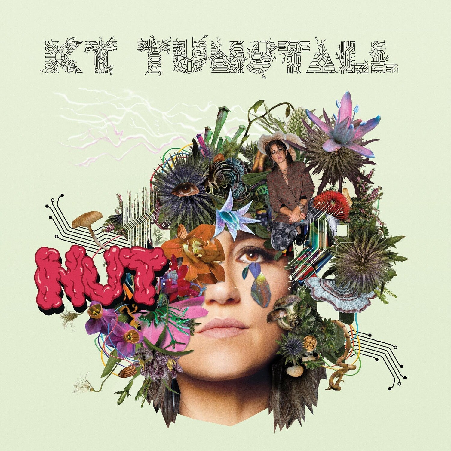 Kt Tunstall - Nut