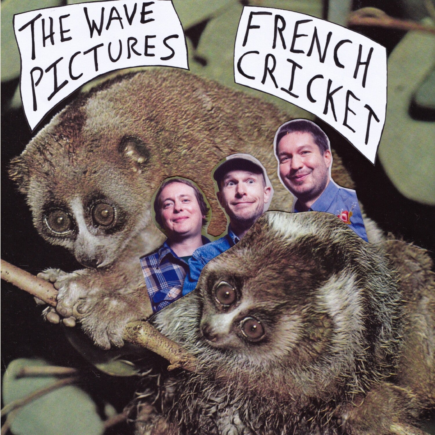 Wave Pictures - French Cricket 2x7