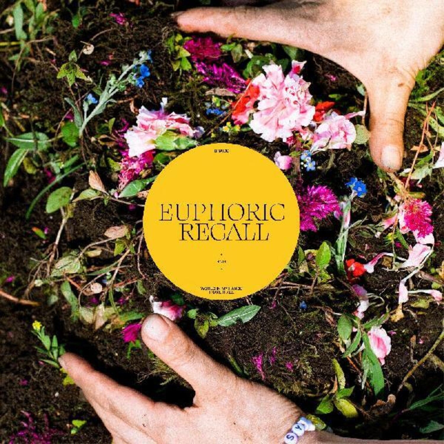Braids - Euphoric Recall (CD)