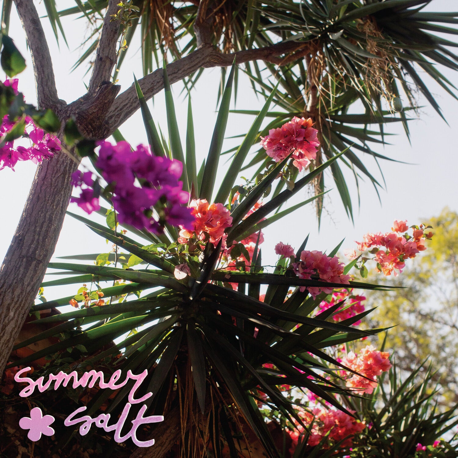 Summer Salt - Campanita (Pink Vinyl)