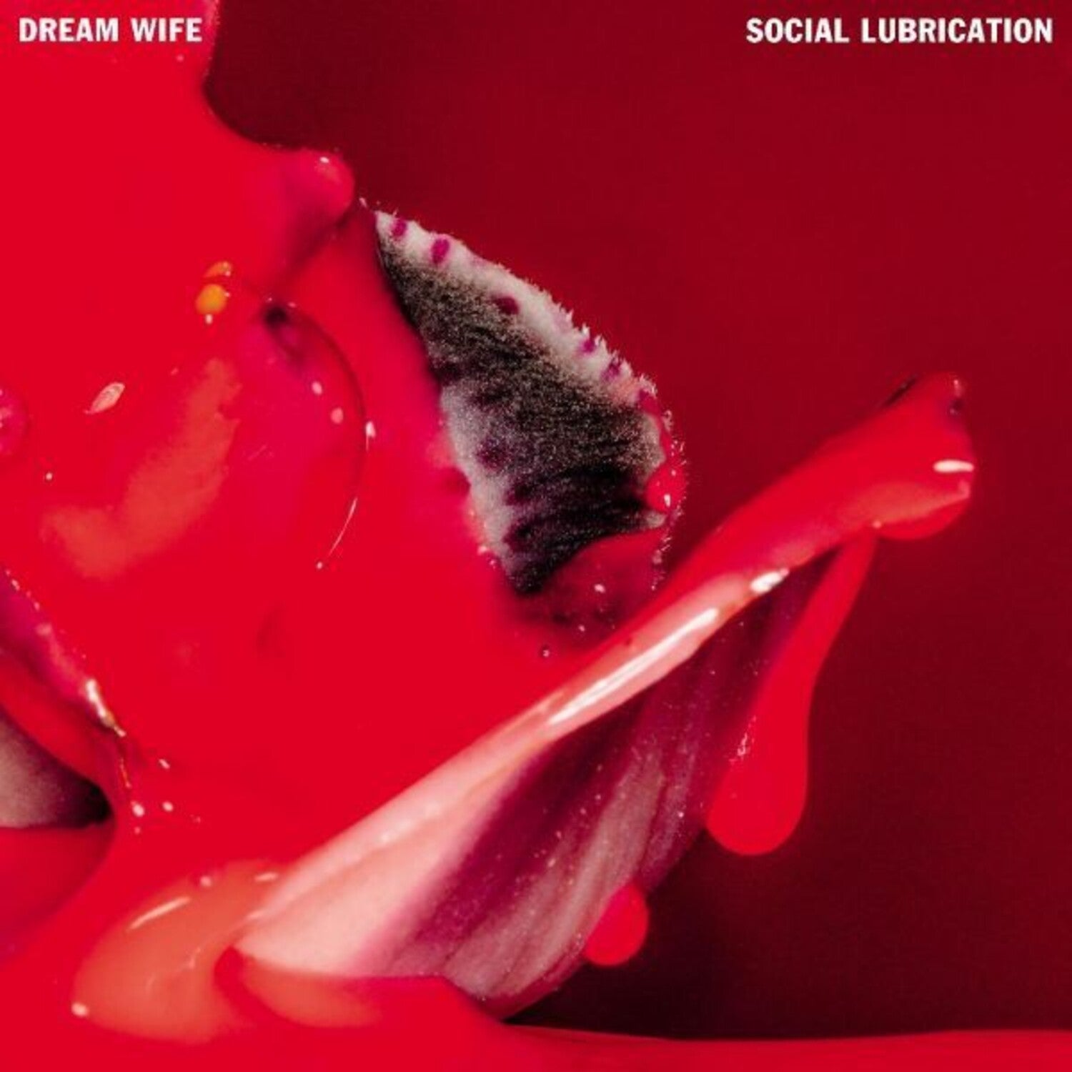 Dream Wife - Social Lubrication (CD)