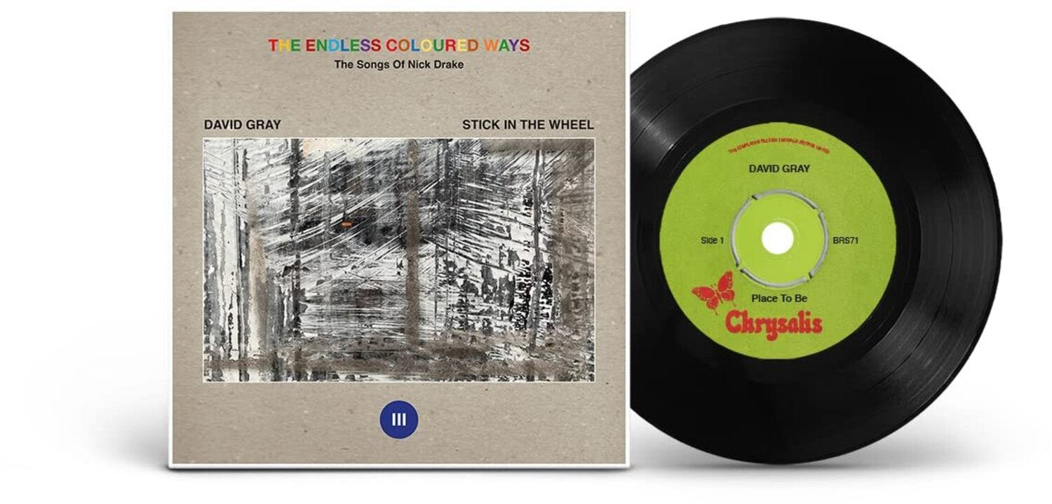 David Gray - The Endless Coloured Ways: The Songs of Nick Drake - David Gray