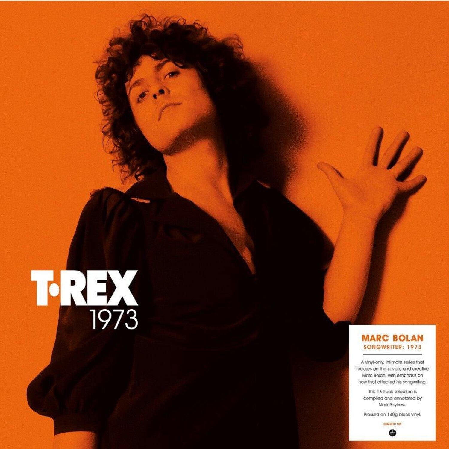 T.Rex - Songwriter: 1973 - 140