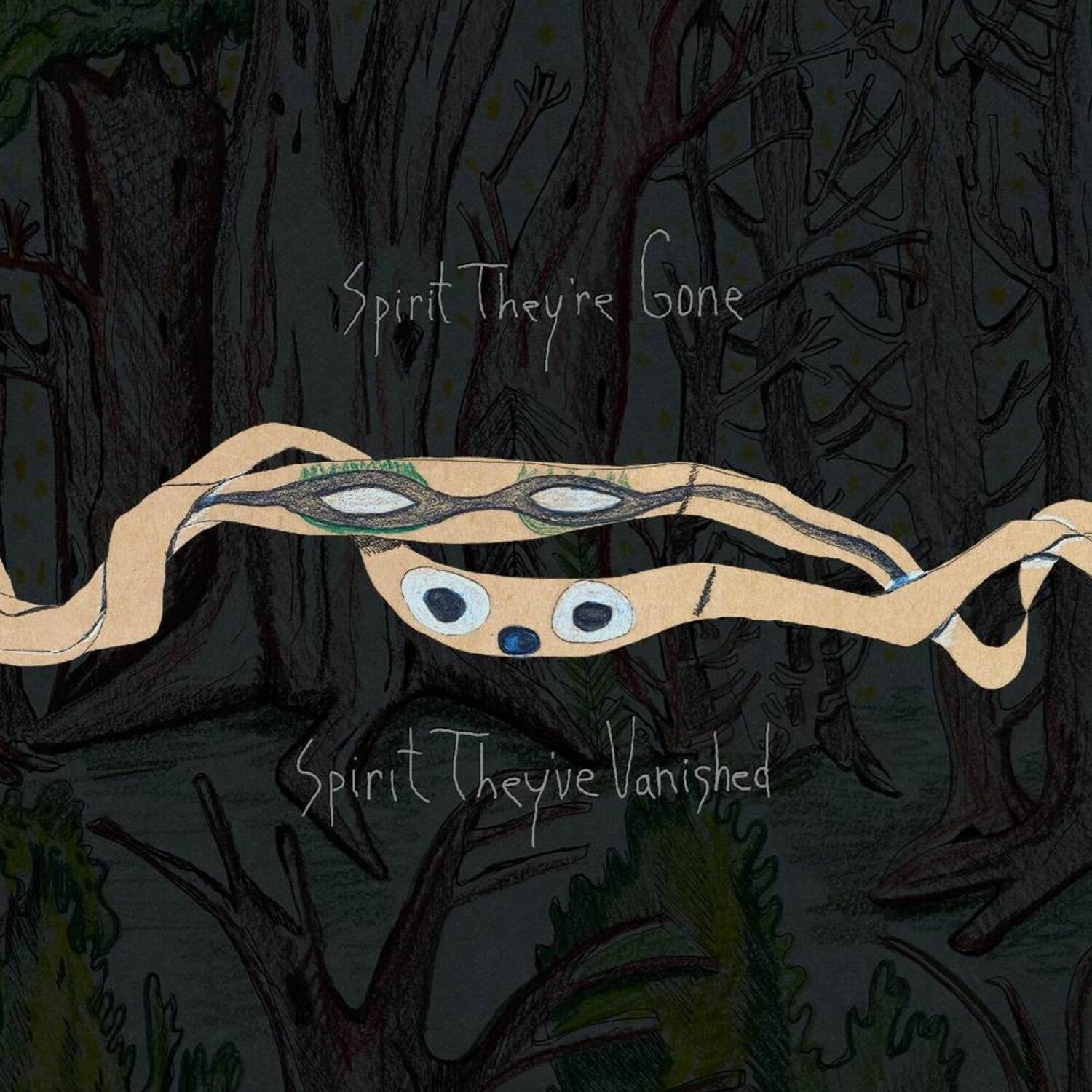 Animal Collective - Spirit They're Gone Spirit They've Vanished 2xLP (Remastered)