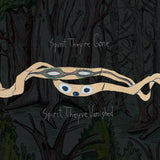 Animal Collective - Spirit They're Gone Spirit They've Vanished 2xLP (Remastered)