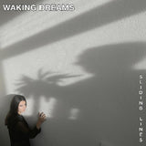 Waking Dreams - Sliding Lines (CD)