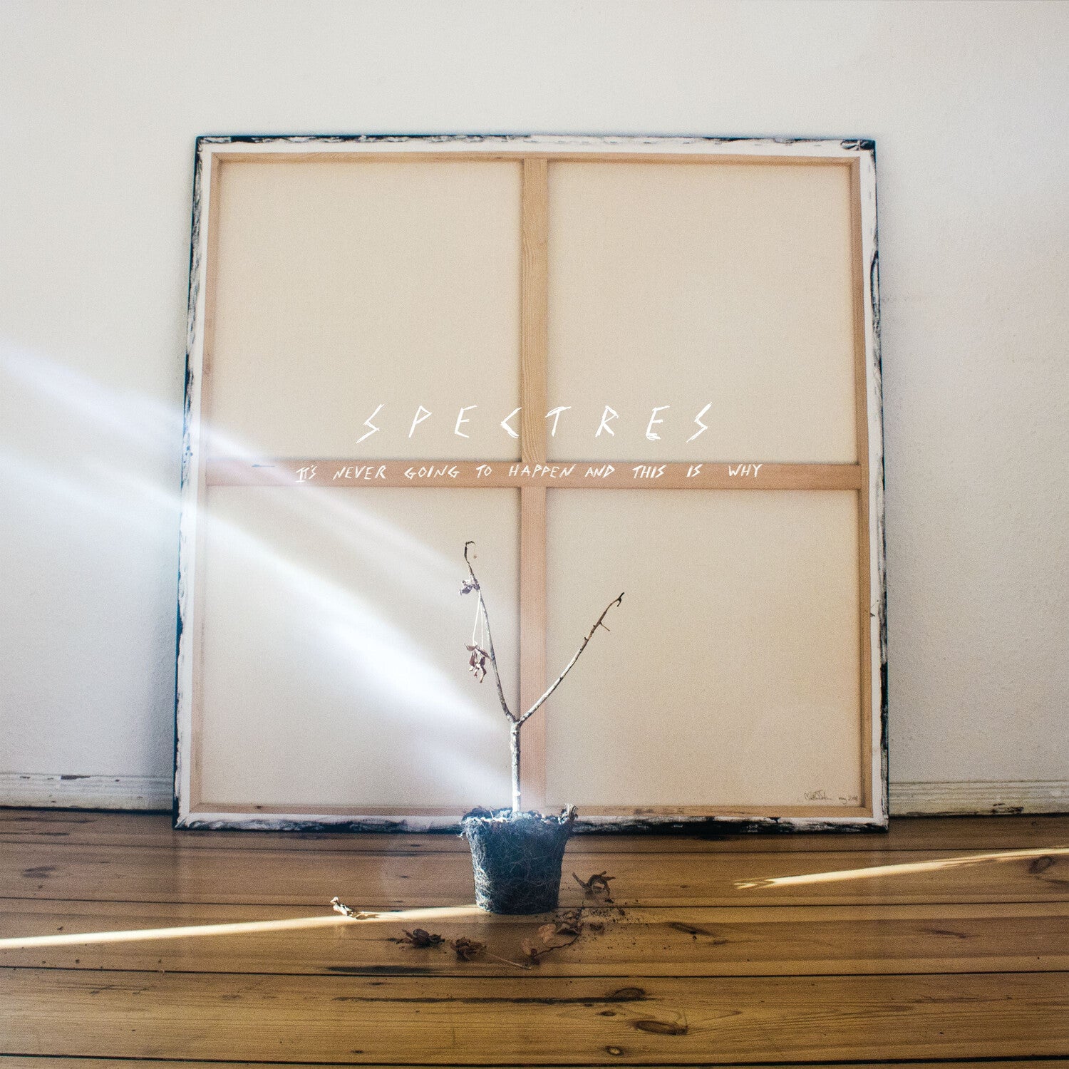 Spectres - It's Never Going To Happen And This Is Why (Clear Vinyl)