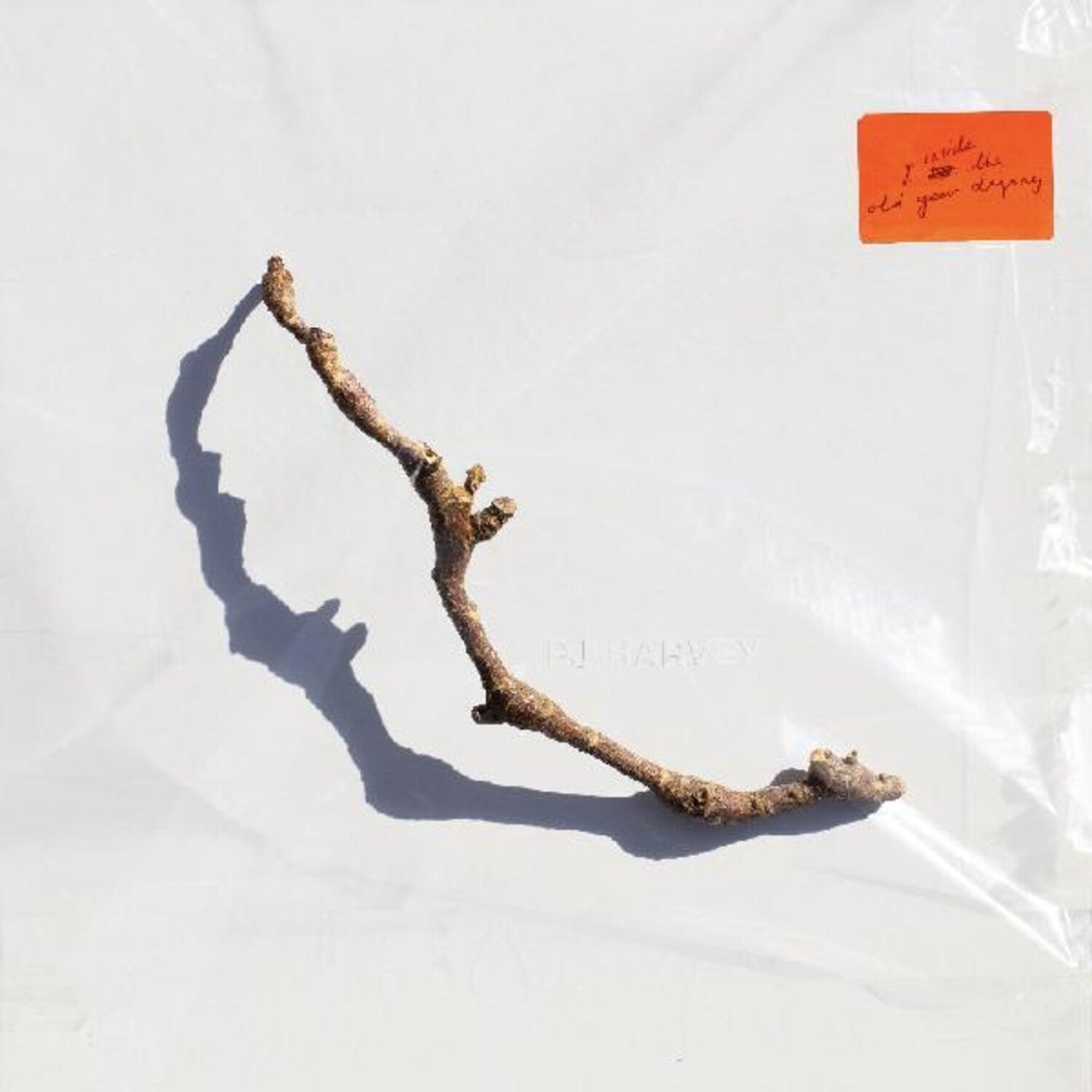 Pj Harvey - I Inside The Old Year Dying (CD)