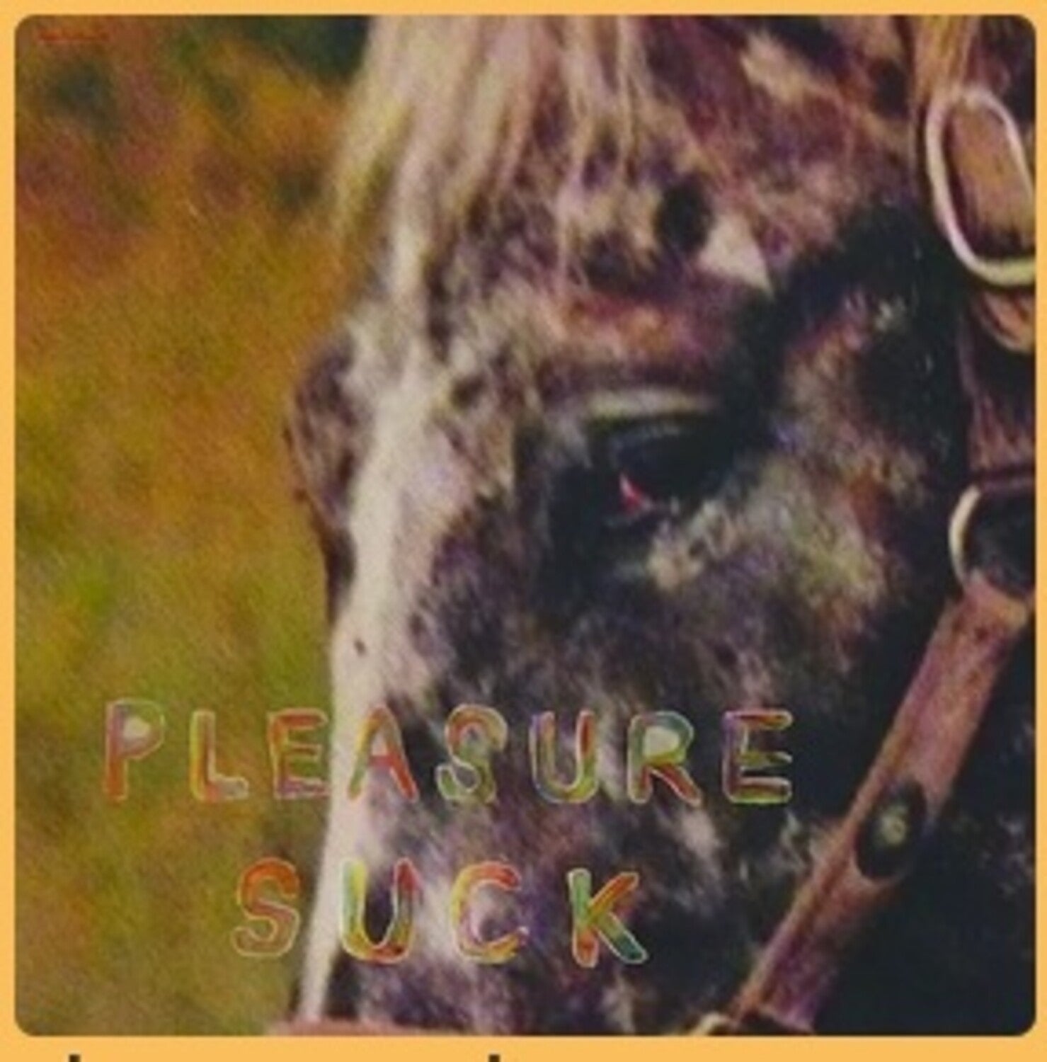 Spirit of the Beehive - Pleasure Suck (Clear Vinyl)