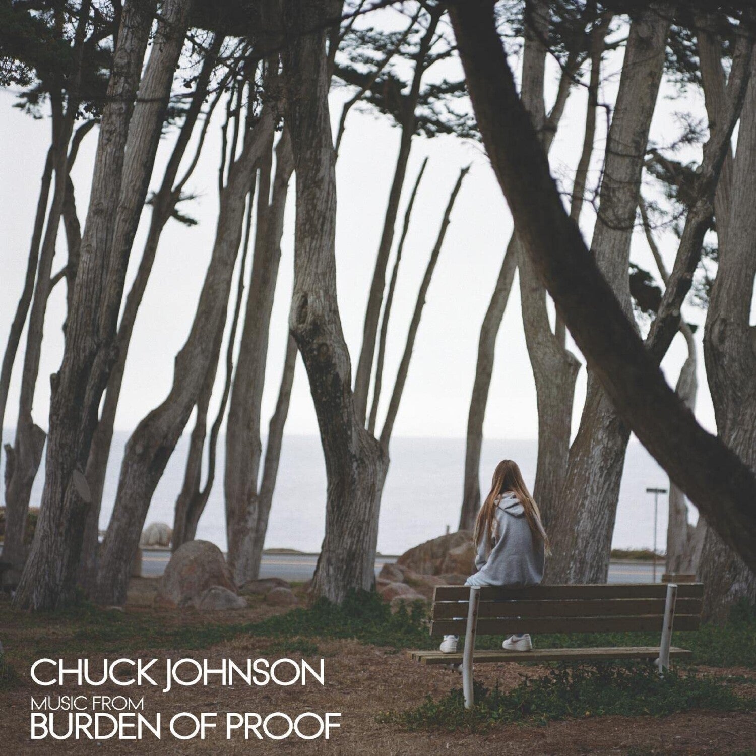Chuck Johnson - Burden Of Proof (Silver Vinyl)