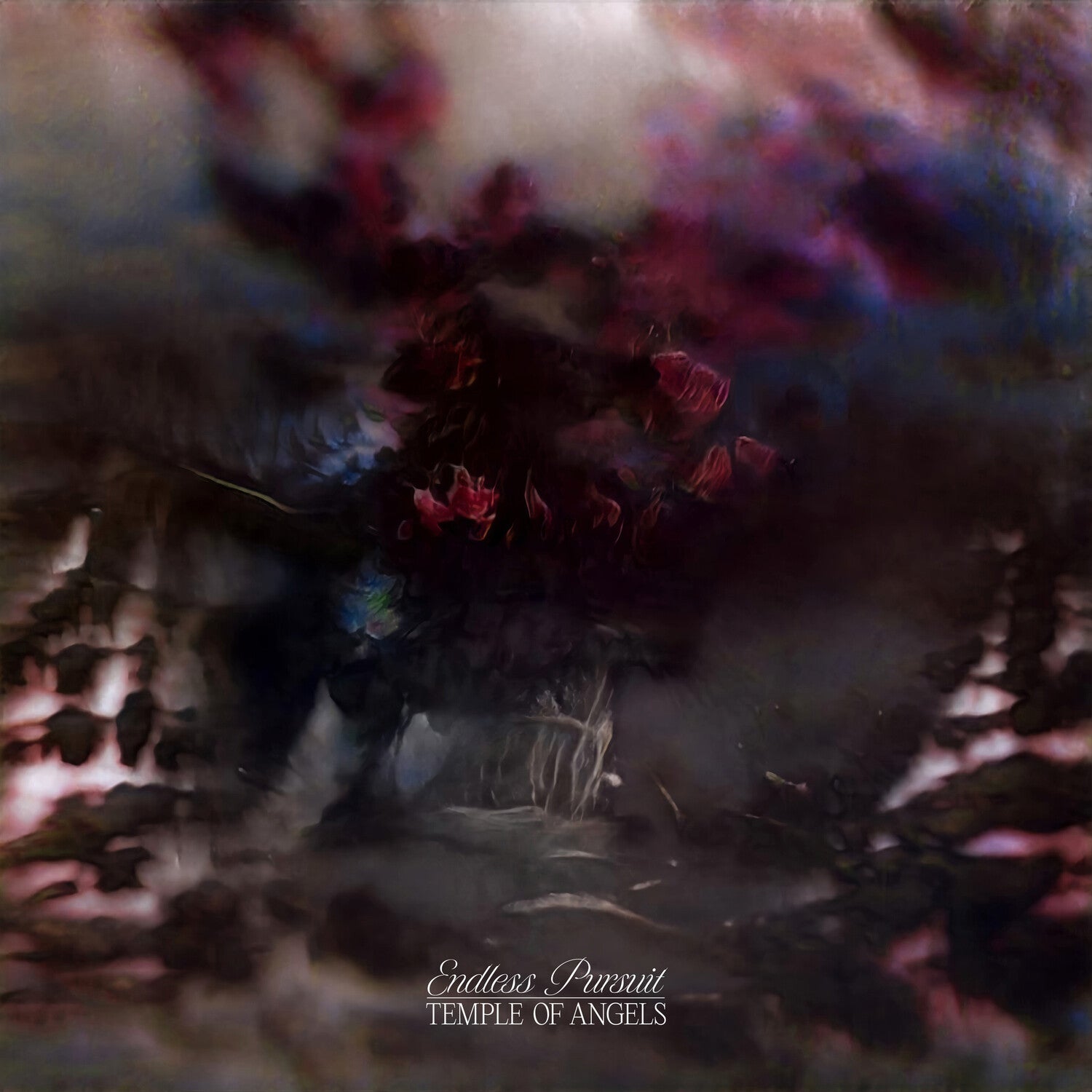 Temple of Angels - Endless Pursuit - Cloudy Clear (Clear Vinyl)