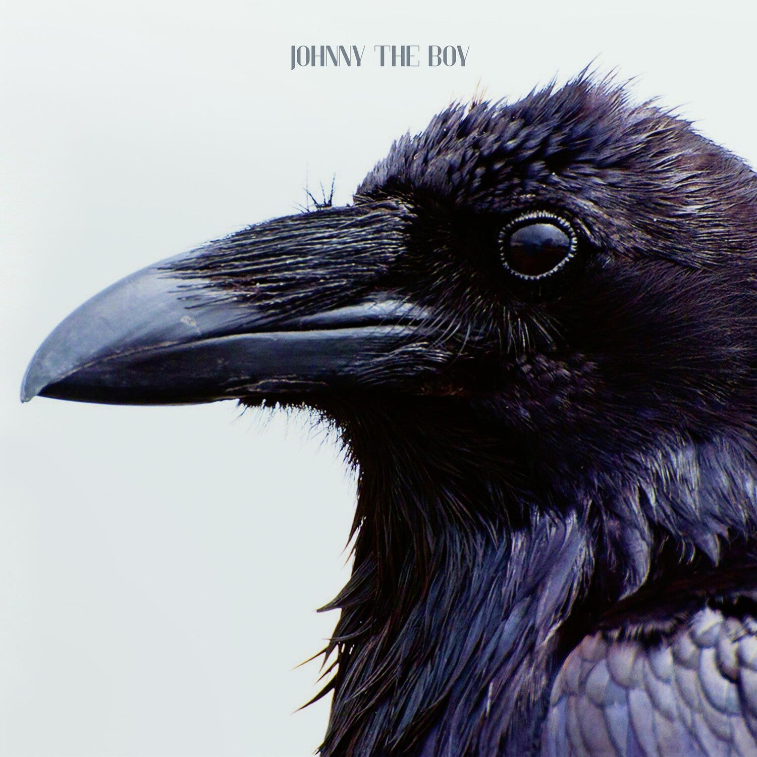 Johnny the Boy - You (Limited Edition)