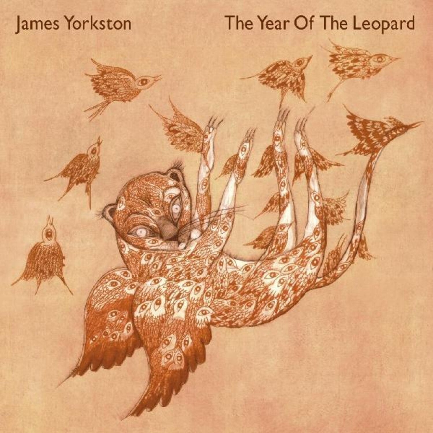 James Yorkston - The Year Of The Leopard 2xLP