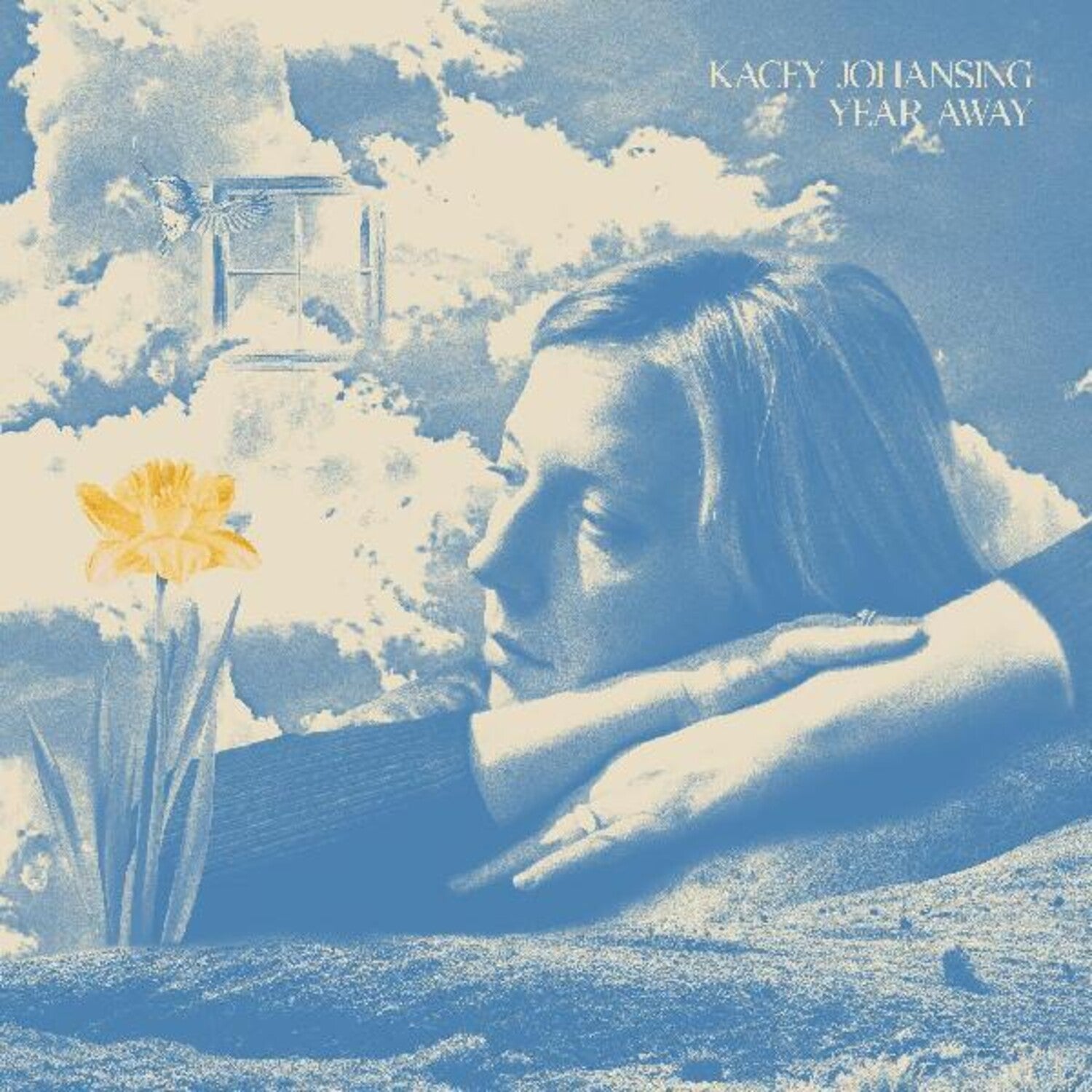 Kacey Johansing - Year Away