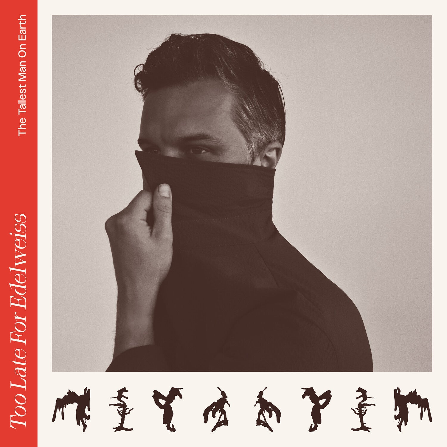 Tallest Man on Earth - Too Late For Edelweiss