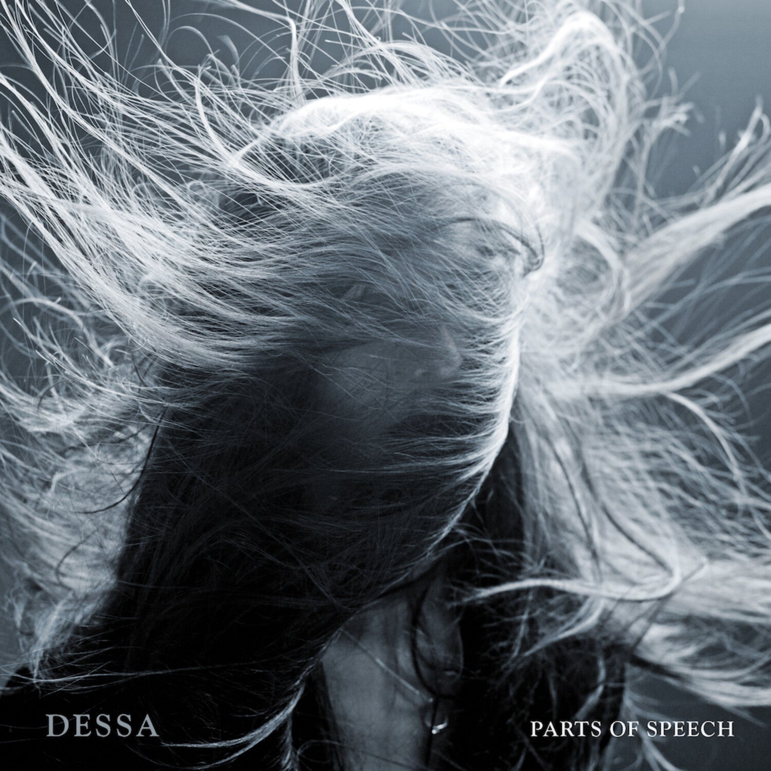 Dessa - Parts Of Speech (Anniversary Edition)