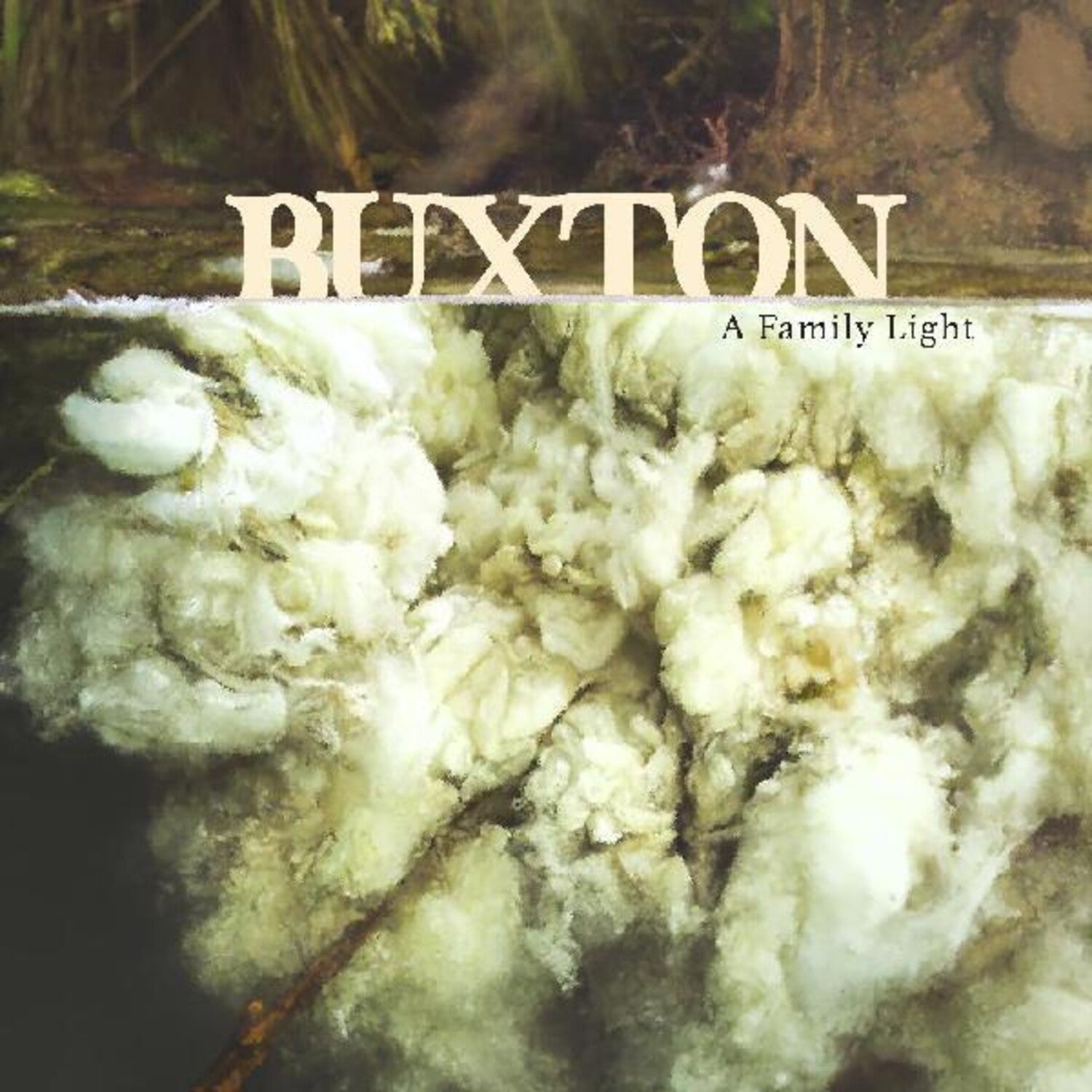 Buxton - A Family Light 2xLP (Clear Vinyl)