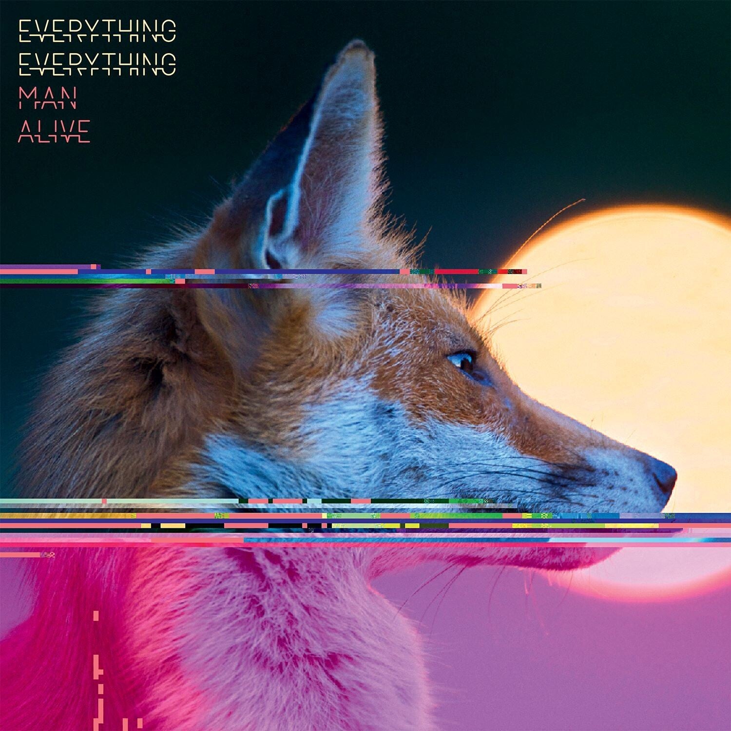 Everything Everything - Man Alive - 140gm Deluxe Edition with Poster & Booklet 2xLP (Deluxe)