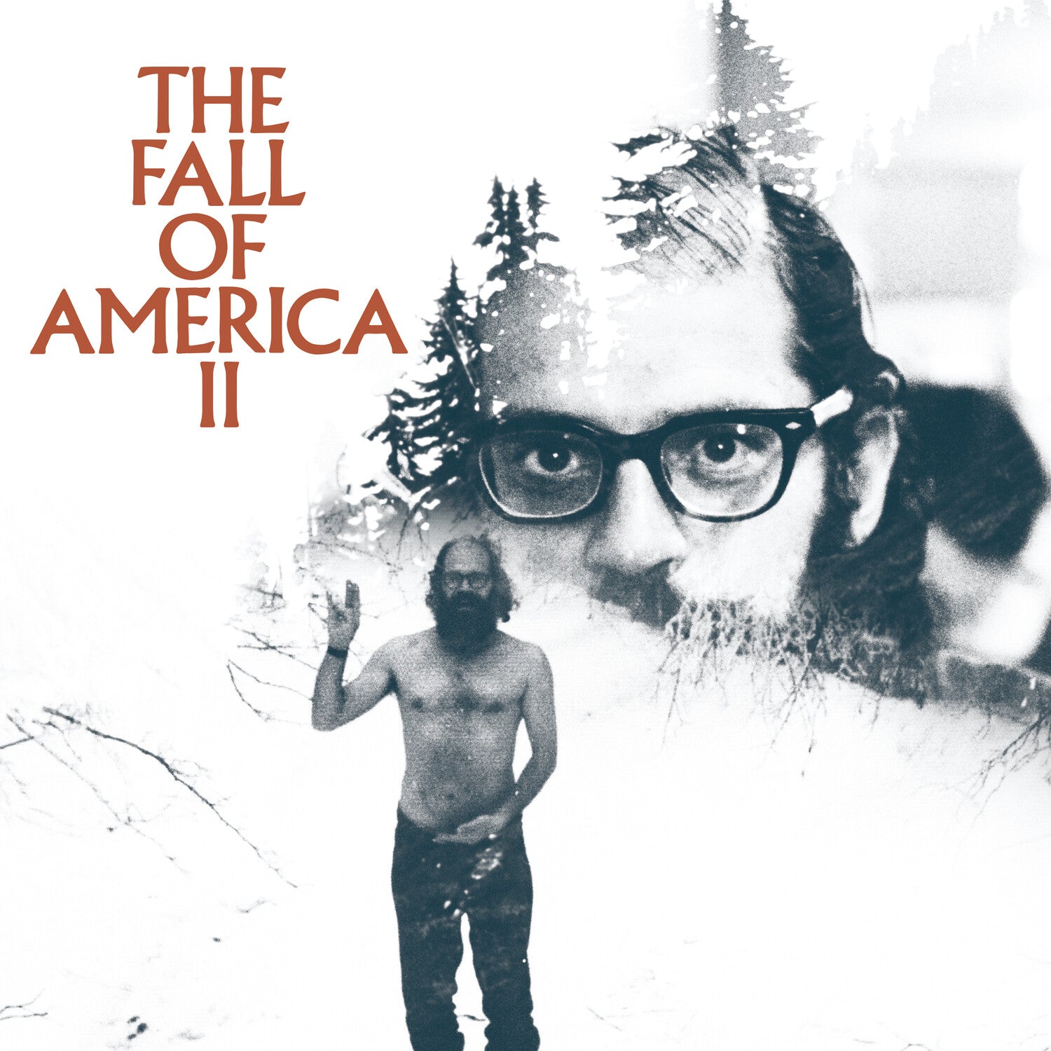 Allen Ginsberg's the Fall of America Vol. 2 / Var - Allen Ginsberg's the Fall of America Vol. 2 (CD)